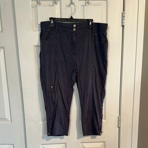 Collection L Navy Capri size 16